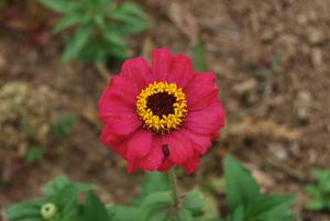 新鄉(xiāng)市濾清器有限公司憑先進(jìn)技術(shù)軍工品質(zhì)助力祖國航天事業(yè)發(fā)展